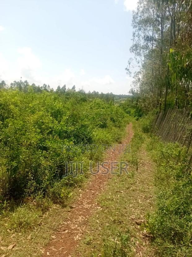 Two Acres in Wiga Area Homa Bay - thumbnail 7