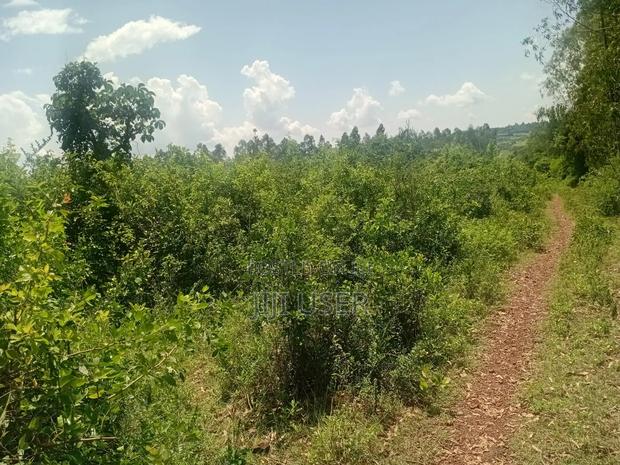 Two Acres in Wiga Area Homa Bay - thumbnail 8