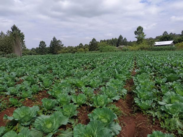 Matuu Land for Sale - main view