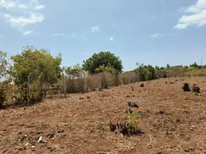 Land in Kikambala