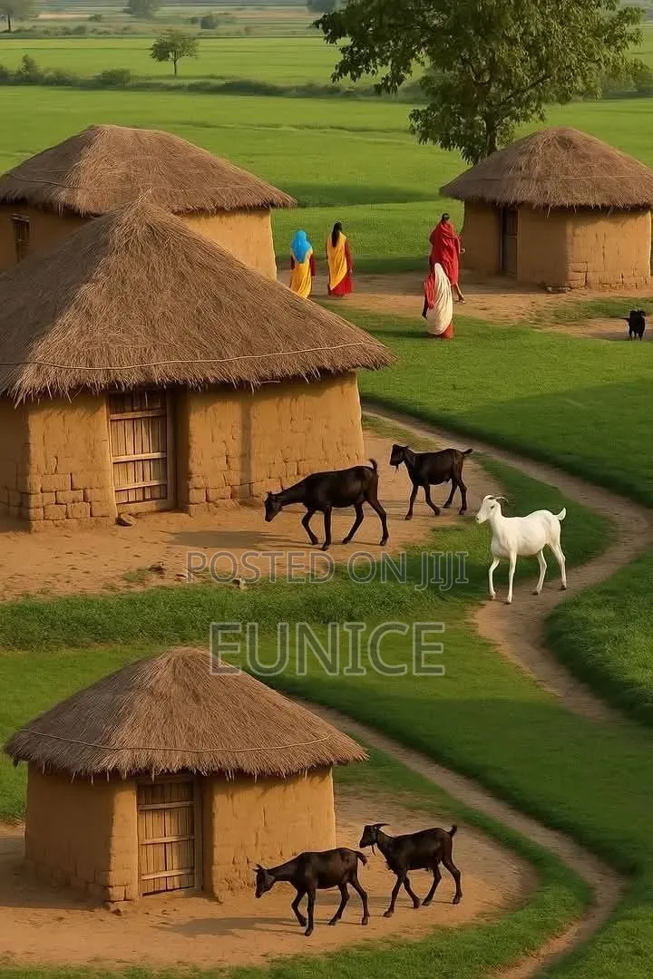 African Arts Decor