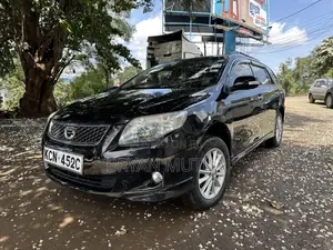 Toyota Corolla Fielder 2010 Black