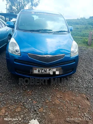Toyota Ractis 2010 Blue