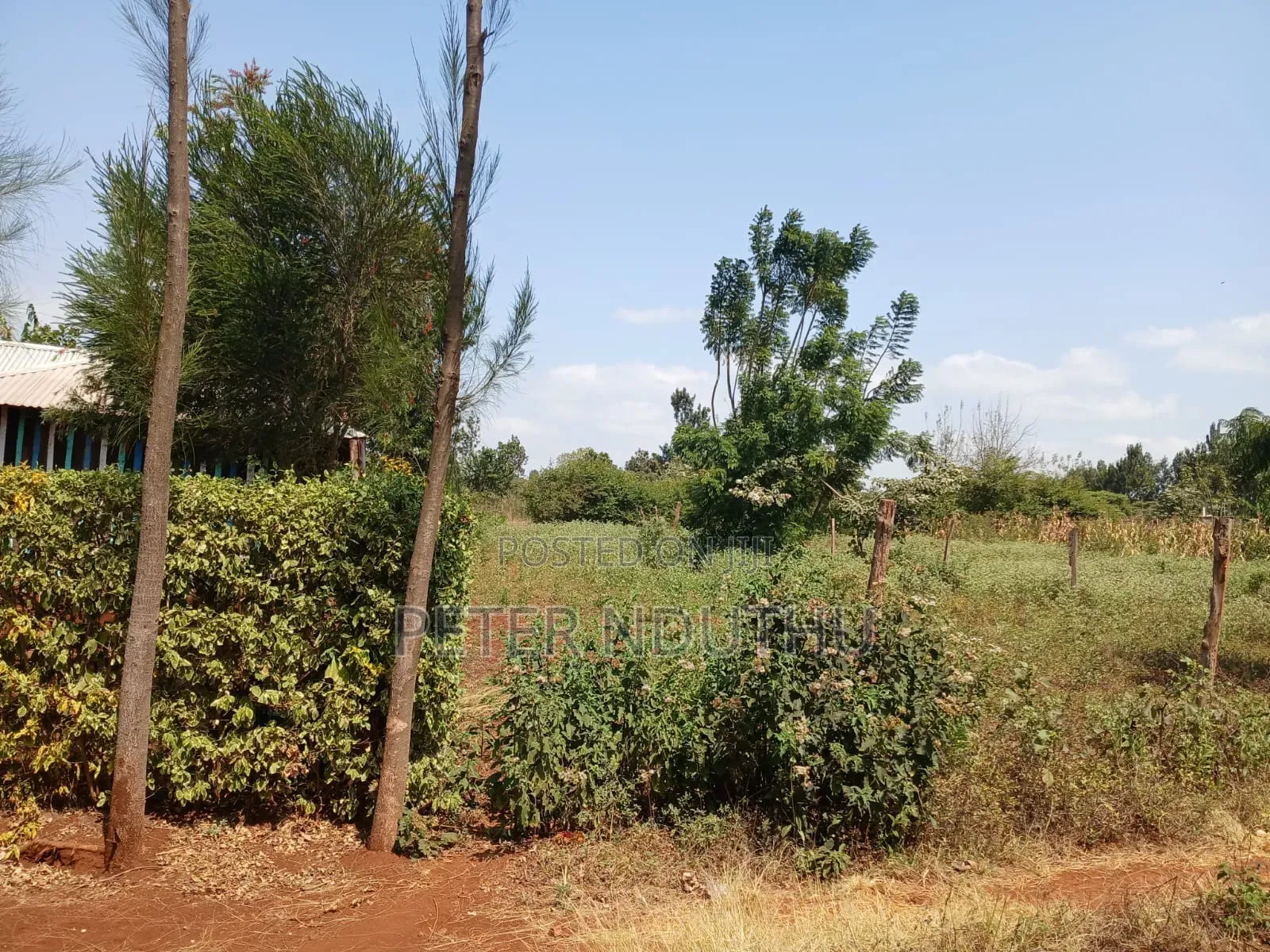 Sell of Land