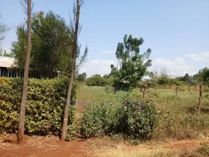 Sell of Land