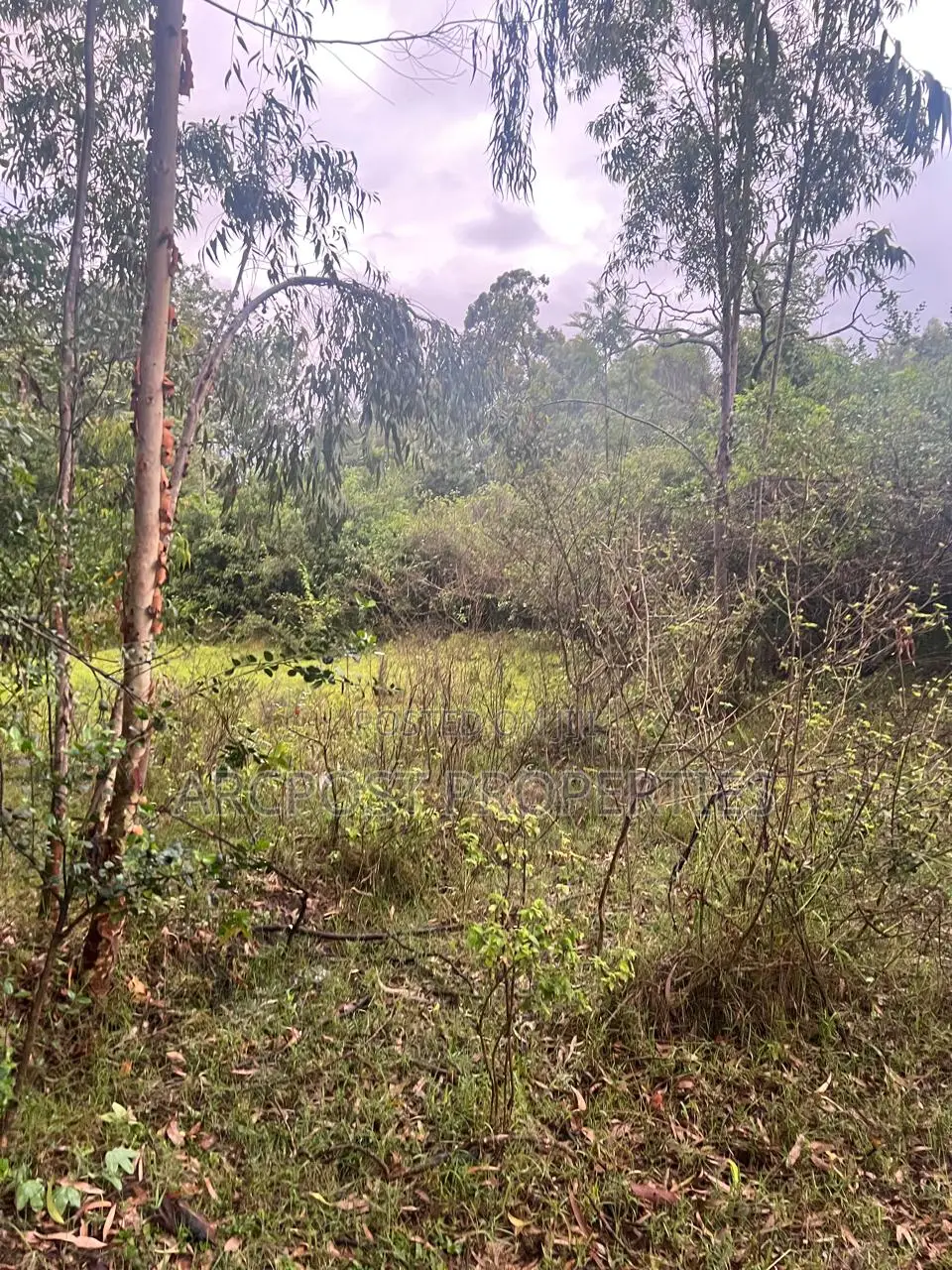 Prime 5 Acres Commercial Land for Sale Touching Langata South Road