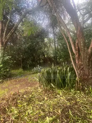 Prime 5 Acres Commercial Land for Sale Touching Langata South Road