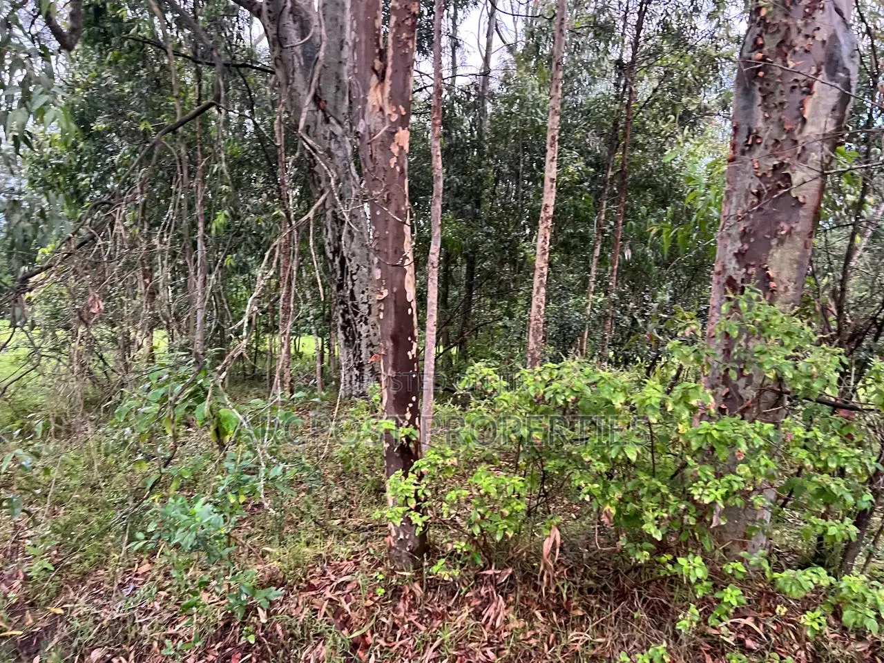 Prime 10 Acres Commercial Land for Sale in Karen Langata Road Frontage