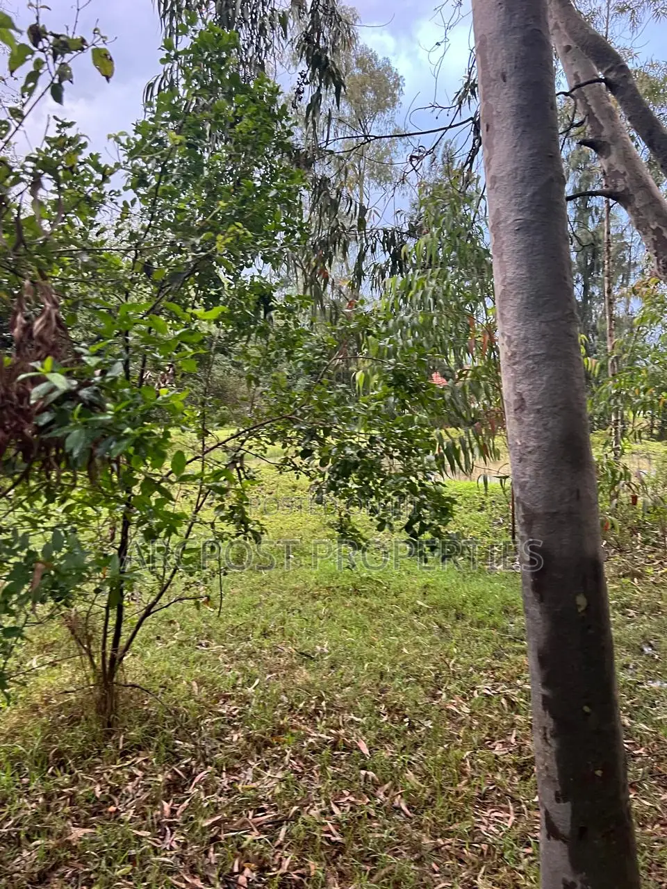 Prime 10 Acres Commercial Land for Sale in Karen Langata Road Frontage