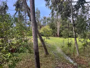 Prime 10 Acres Commercial Land for Sale in Karen Langata Road Frontage
