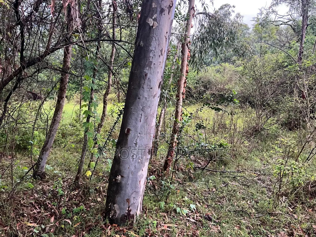 Prime 10 Acres Commercial Land for Sale in Karen Langata Road Frontage