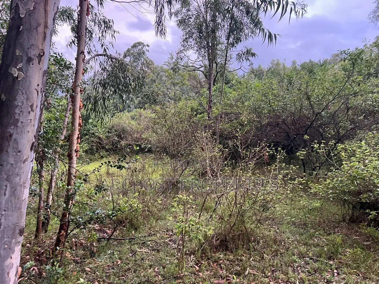 Prime 10 Acres Commercial Land for Sale in Karen Langata Road Frontage