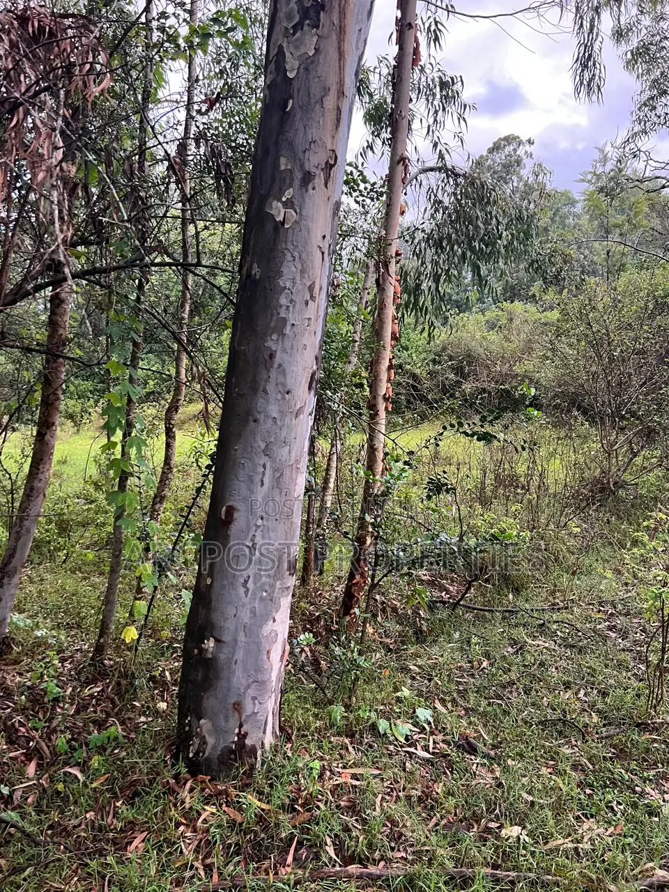 Prime 10 Acres Commercial Land for Sale in Karen Langata Road Frontage