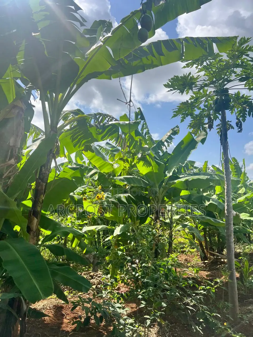 Prime 2 Acres Agricultural Land for Sale in Kiboi Fronting Kiboi River