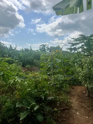 Prime 2 Acres Agricultural Land for Sale in Kiboi Fronting Kiboi River
