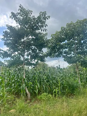 Prime 2 Acres Agricultural Land for Sale in Kiboi Fronting Kiboi River