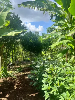 Prime 2 Acres Agricultural Land for Sale in Kiboi Fronting Kiboi River