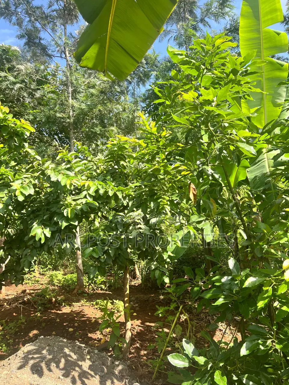 Prime 2 Acres Agricultural Land for Sale in Kiboi Fronting Kiboi River
