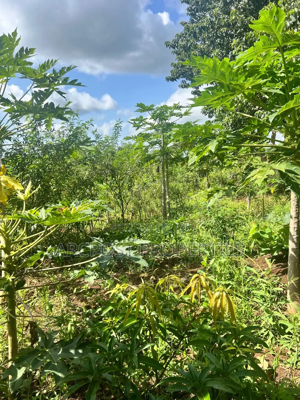 Prime 2 Acres Agricultural Land for Sale in Kiboi Fronting Kiboi River