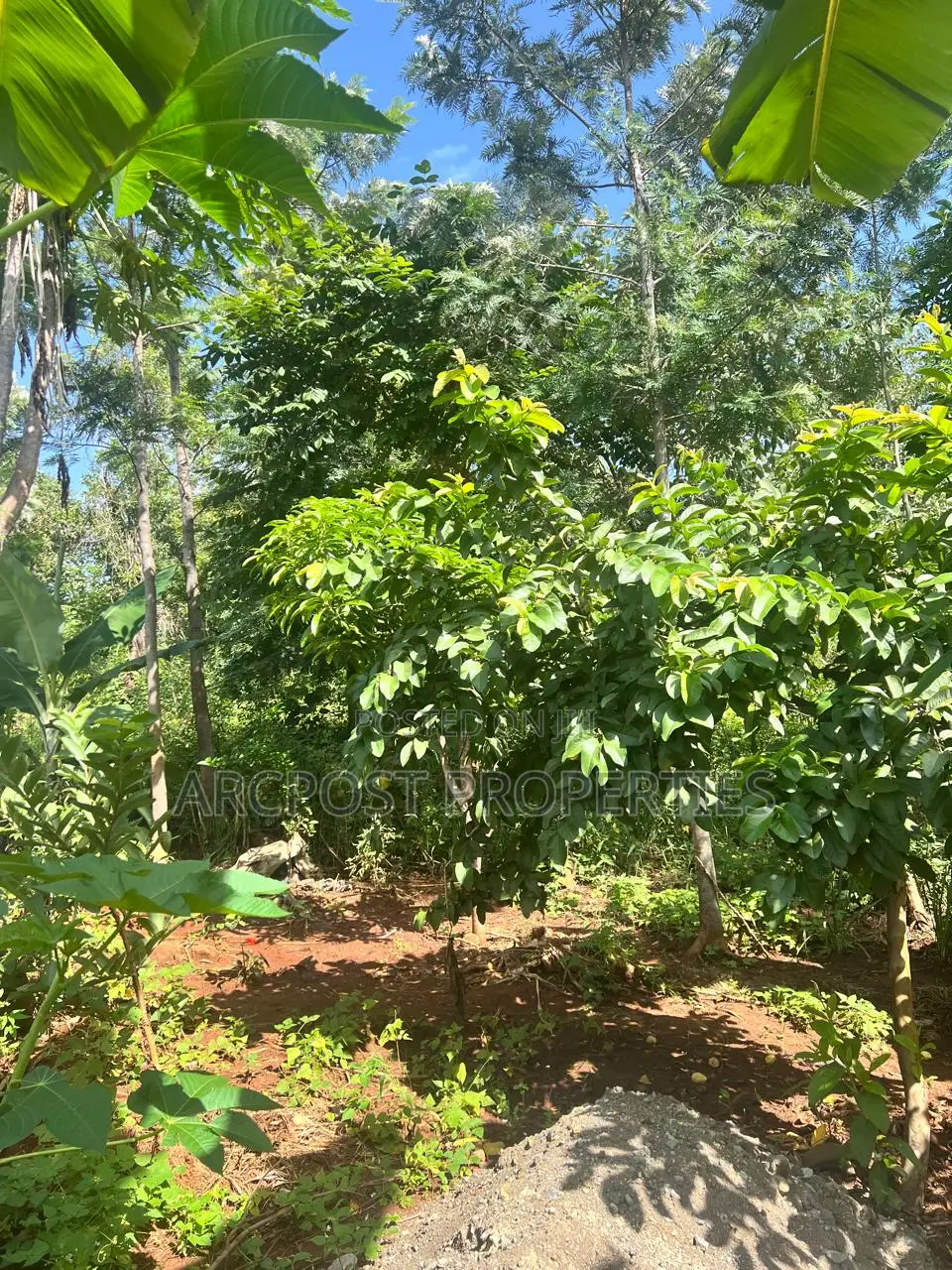 Prime 2 Acres Agricultural Land for Sale in Kiboi Fronting Kiboi River