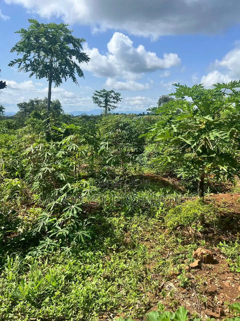Prime 2 Acres Agricultural Land for Sale in Kiboi Fronting Kiboi River