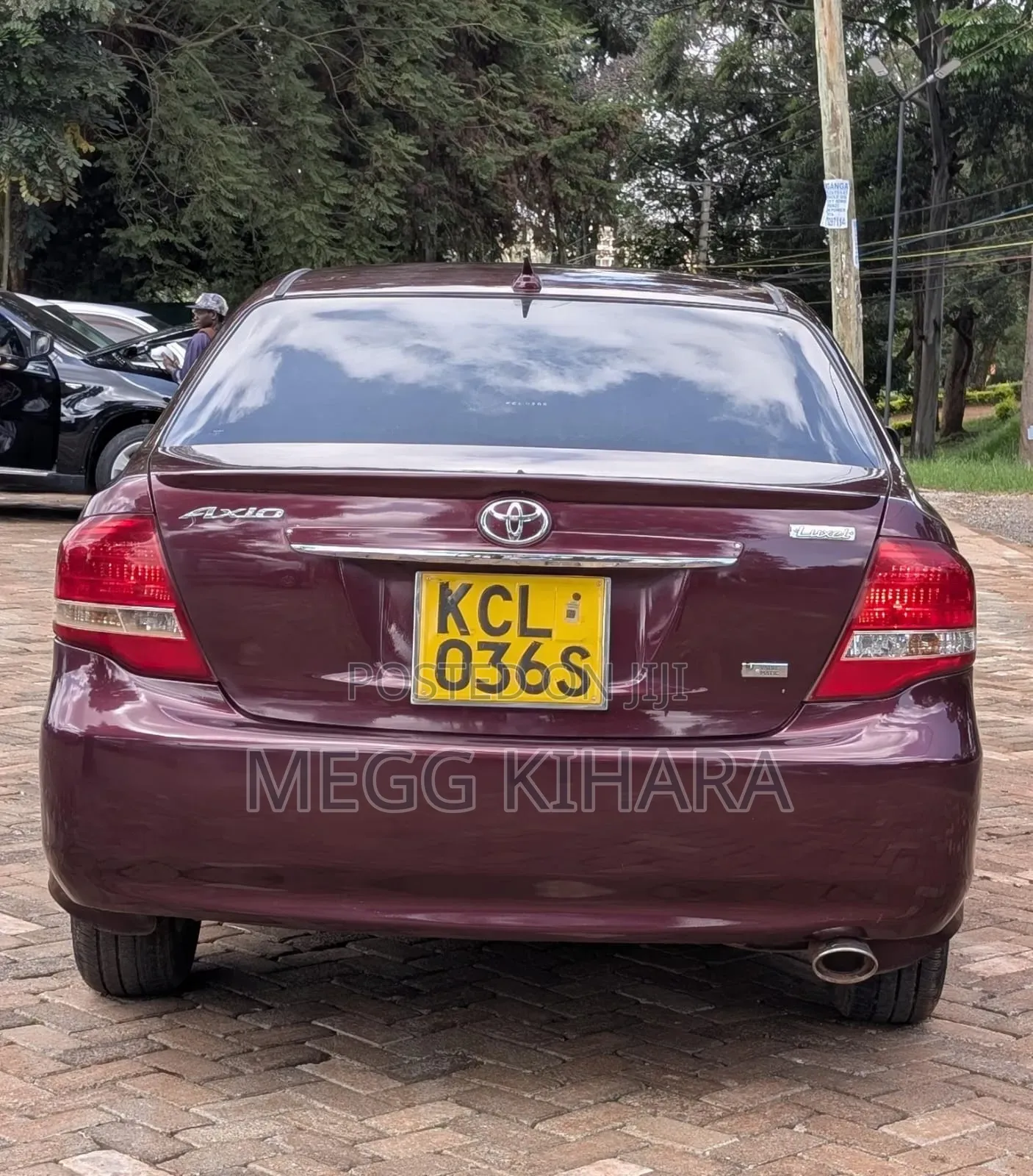Toyota Axio 2011 Purple