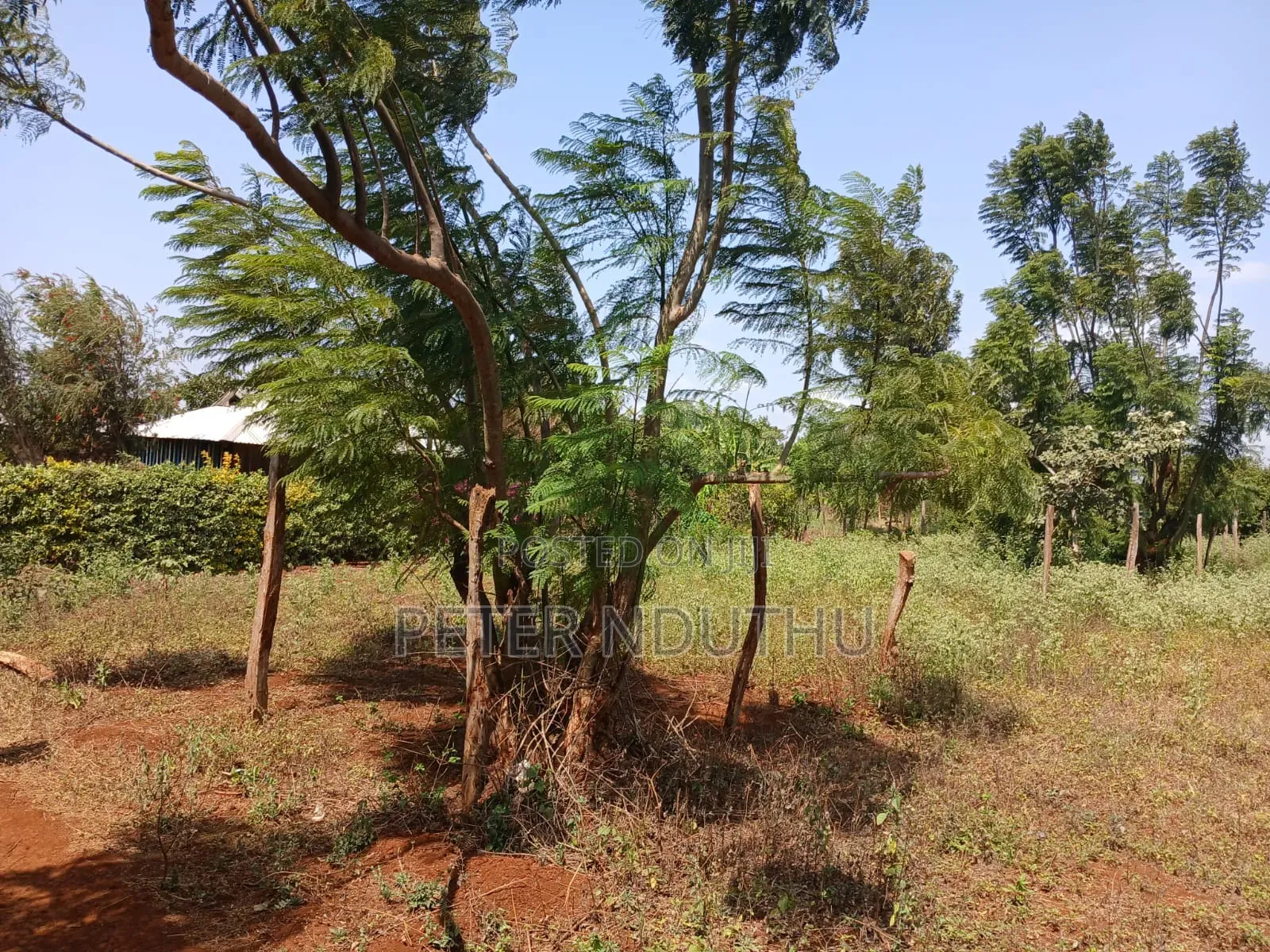 Sell of Land