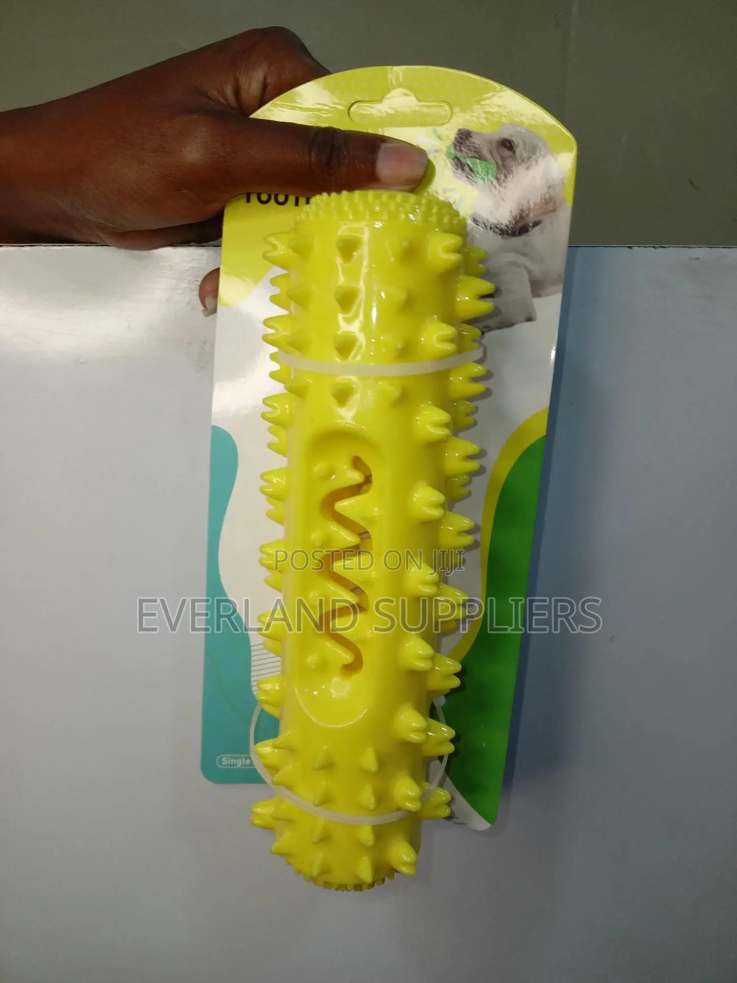 Dog Chew Squeaky Toy - Various Colors Available