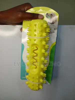 Dog Chew Squeaky Toy - Various Colors Available