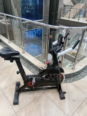 Euromax Fitness Exercise Bike – Home Cardio Indoor Spin Bike