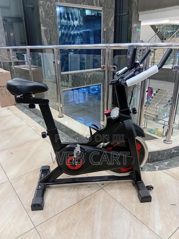 Euromax Spin Bike for Home Workouts and Cardio Training
