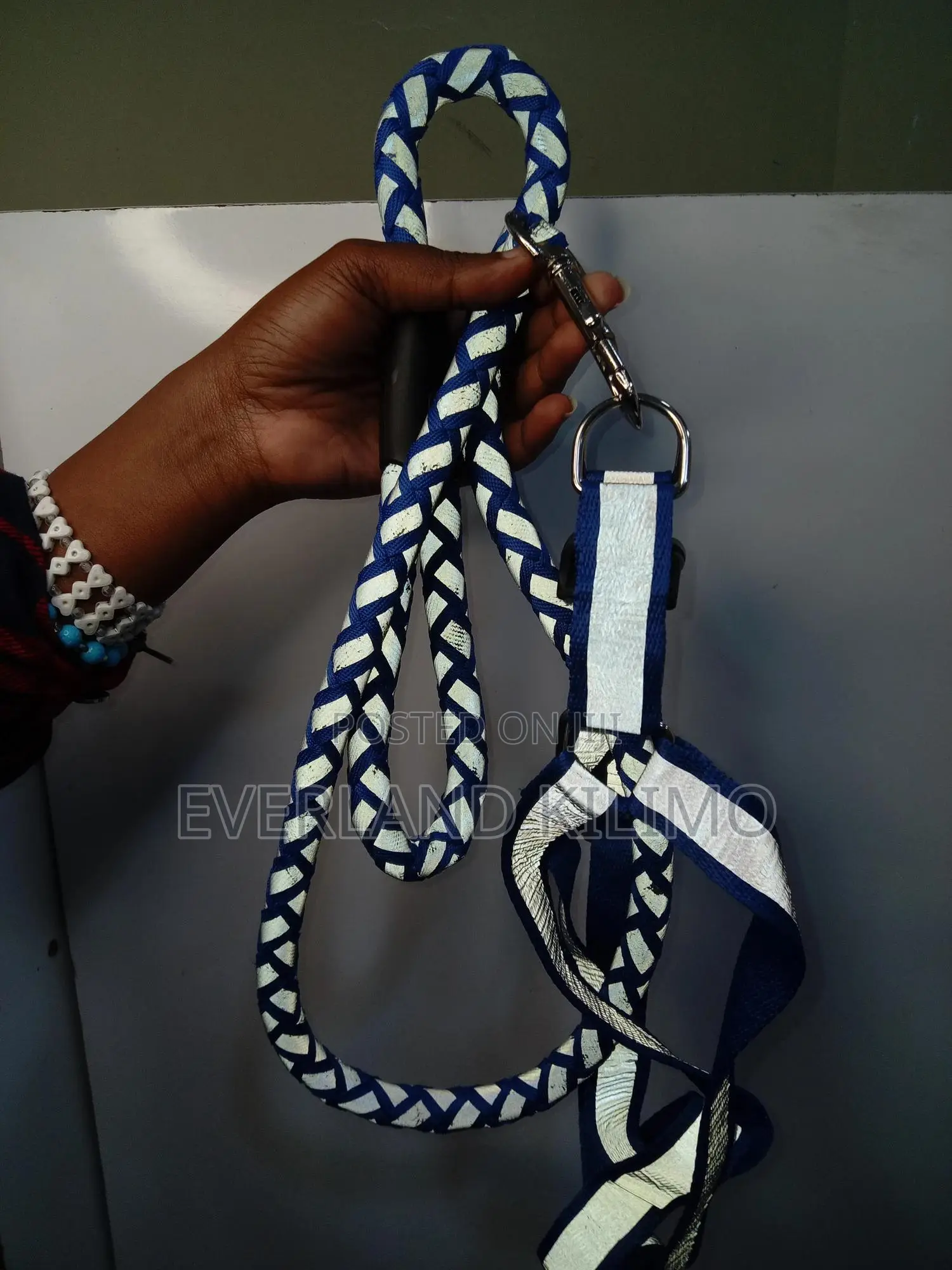 Reflective Leash and Harness - Small