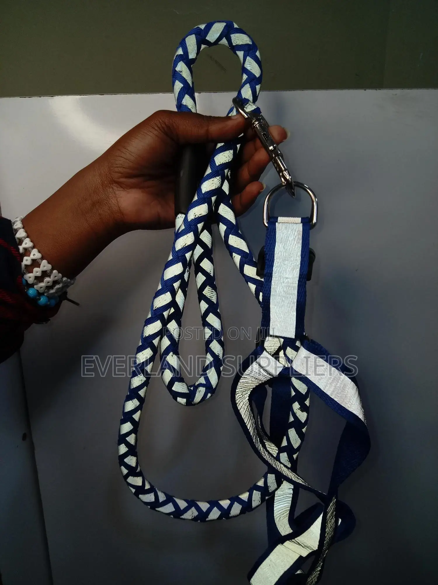 Reflective Leash and Harness - Small
