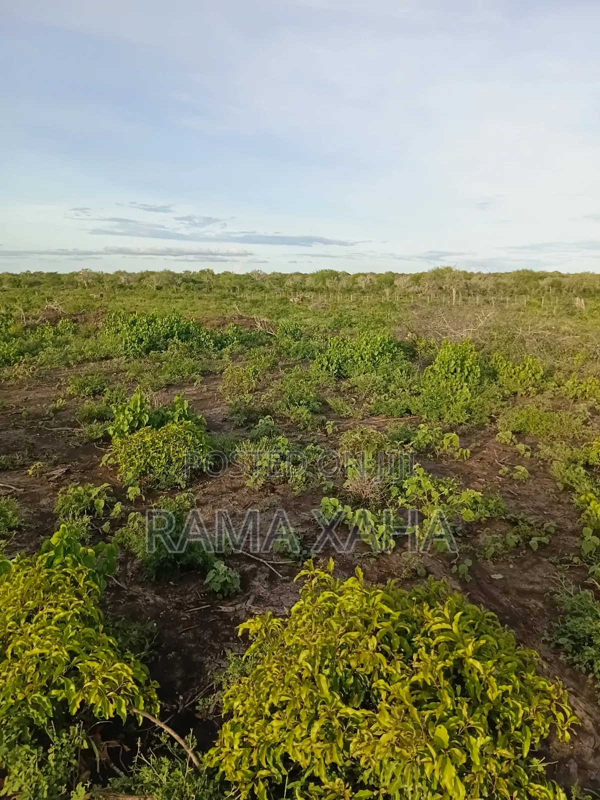 Get 7.5 and 15 Acres With Ready Title Deed in Chakama