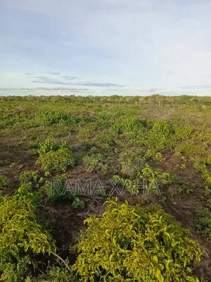Get 7.5 and 15 Acres With Ready Title Deed in Chakama