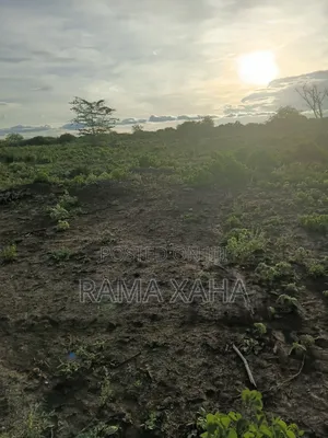 Get 7.5 and 15 Acres With Ready Title Deed in Chakama