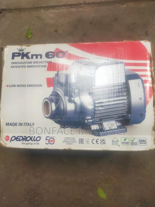Pedrollo Water Pump, Clean as New