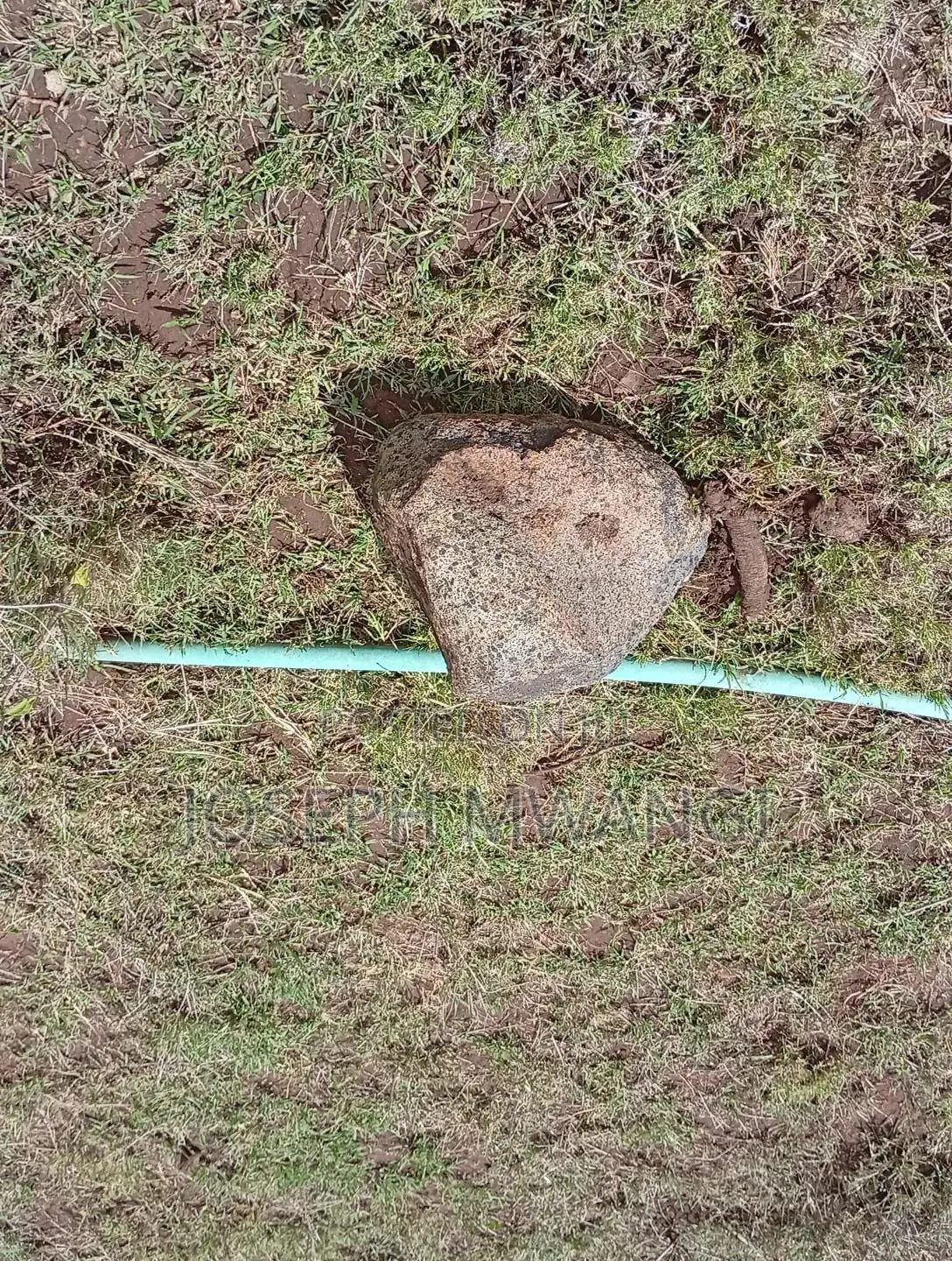 50*100 Plot in Kimuka