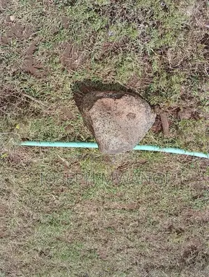 50*100 Plot in Kimuka