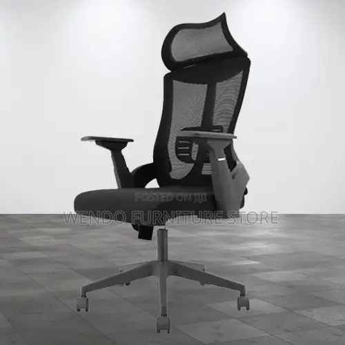 Office Chair Lama High-Back Orthopedic Office Chair