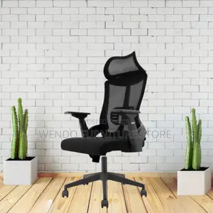 Office Chair Lama High-Back Orthopedic Office Chair