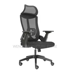 Office Chair Lama High-Back Orthopedic Office Chair