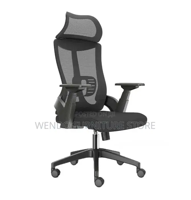 Office Chair Lama High-Back Orthopedic Office Chair