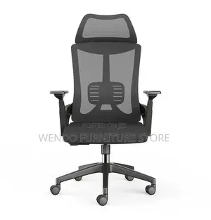 Office Chair Lama High-Back Orthopedic Office Chair