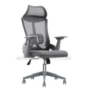 Office Chair Lama High-Back Orthopedic Office Chair