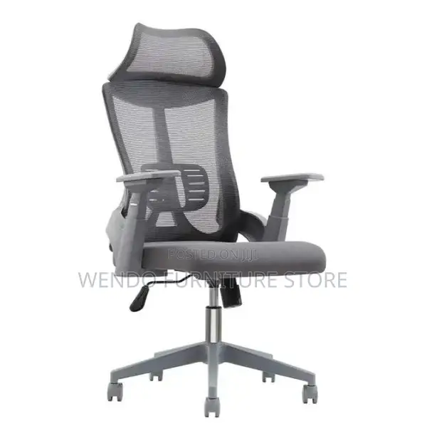 Office Chair Lama High-Back Orthopedic Office Chair