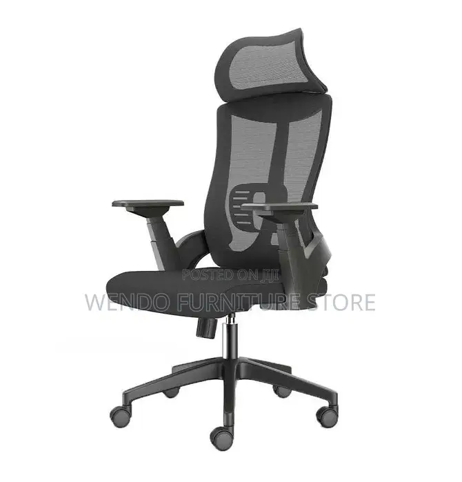 Office Chair Lama High-Back Orthopedic Office Chair