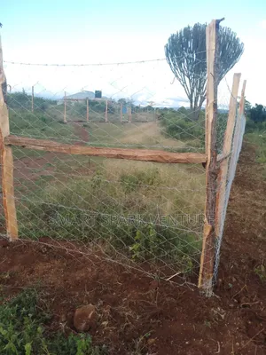 Plots for Sale 300 Meters Off Tarmac