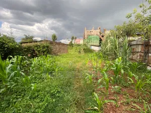 A Very Prime Plot for Sale at Ruaka Town 35 By66 8m