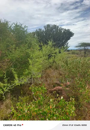 20 Acres Kimana: Mt Kilimanjaro View, Kilaguni Rd